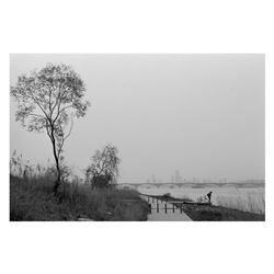 dailyPhoto10